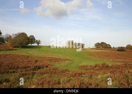 Knole Park Golf Club - View from Tee over bracken to Fairway of 13th Hole with Autumn Colours and Trees Stock Photo