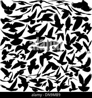 Pigeon silhouettes Stock Vector