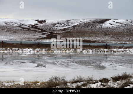Alyeska elevated Trans Alaska crude oil pipeline passing hills and pond north of the Brooks Range mountains from the Dalton Highway Alaska USA Stock Photo