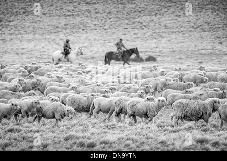 Gauchos on Horseback, Argentina Stock Photo