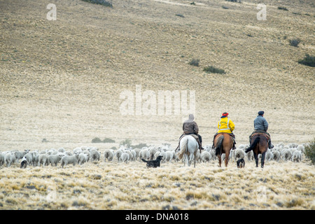 Gauchos Herding with Horses, Argentina