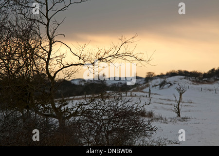 Sunset in a winter landscape at Berkheide, Katwijk aan Zee, The Netherlands. Stock Photo