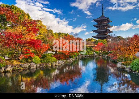 To-ji Pagoda in Kyoto, Japan during the fall season. Stock Photo