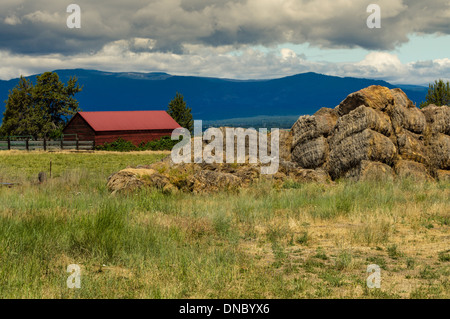 Abandoned stack of hay near a barn and pasture in rural eastern Oregon.  Maupin Oregon Stock Photo