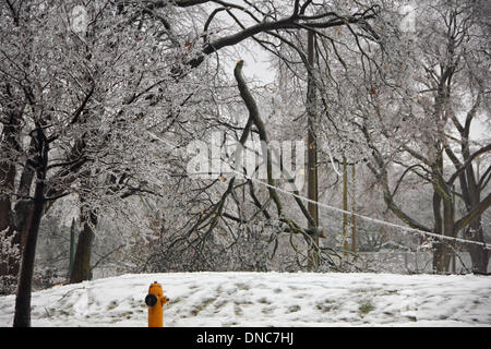 Toronto, Canada. 22nd Dec, 2013. Broken power line and trees due to freezing rain and snow in Davisville Park, or June Rowland Park in Toronto on December 22, 2013 Credit:  CharlineXia/Alamy Live News Stock Photo