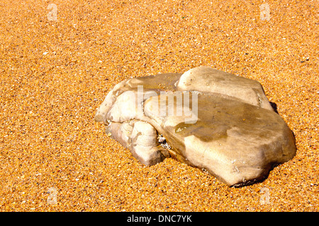 flat tip of rock protruding through sand on beach Stock Photo
