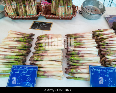 White Asparagus-Asparagis officinalis, for sale,Cours Saleya Market,Nice,France Stock Photo