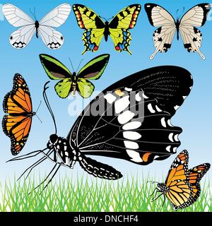 Detailed butterflies vector set Stock Vector