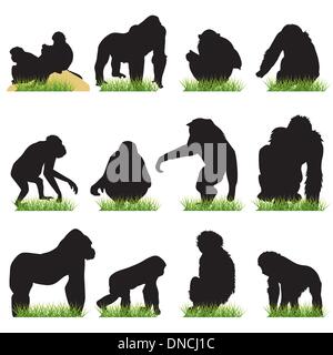 Monkeys silhouettes set Stock Vector