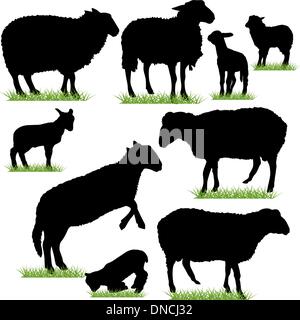 Sheep and Lambs Silhouettes Set Stock Vector Image & Art - Alamy