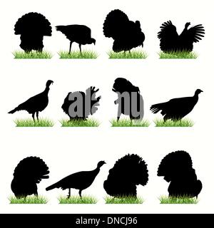 Turkey silhouettes set Stock Vector