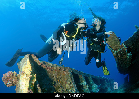 Diver looking at shipwreck 'Giannis D'. Red sea, Egypt, Africa  Stock Photo