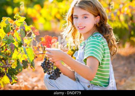 Kid girl happy smiling in autumn vineyard field holding grapes bunch on hand Stock Photo