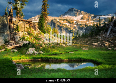 Small pond reflecting Eagle Cap Mountain. Eagle Cap wilderness, Oregon Stock Photo