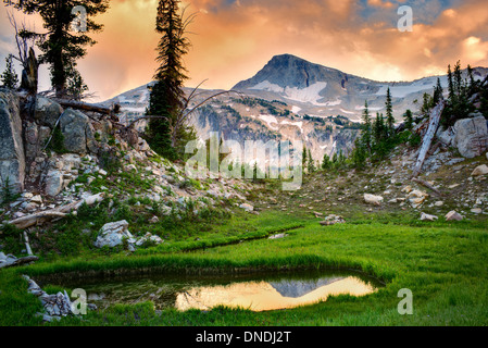 Small pond reflecting Eagle Cap Mountain. Eagle Cap wilderness, Oregon Stock Photo