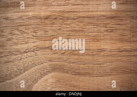 Wood surface, american walnut (Juglans nigra) -background Stock Photo