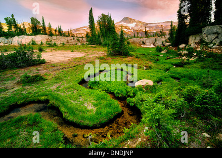 Small stream and meadow with Eagle Cap Mountain. Eagle Cap Wilderness, Oregon Stock Photo