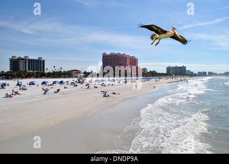 Clearwater Beach Florida Stock Photo