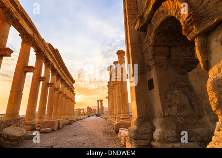 Great Colonnade at sunset. Palmyra, Syria Stock Photo