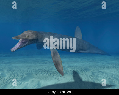 Pliosaurus kevani, Late Jurassic of England, United Kingdom. Stock Photo