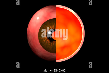 Conceptual image of human eye cross section. Stock Photo