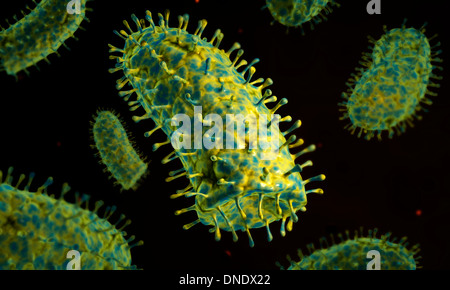 Conceptual image of rabies virus. Stock Photo