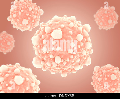 Microscopic view of pancreatic cancer cells. Stock Photo