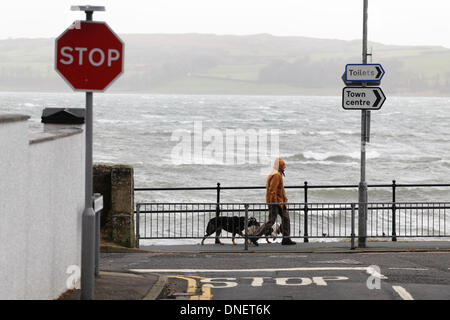Largs, North Ayrshire, Scotland, UK, Tuesday, 24th December, 2013. The Gale force winds with gusts up to 90 mph forecast for Christmas Eve hit the West Coast of Scotland as seen here with a man walking two dogs beside the Firth of Clyde. Stock Photo