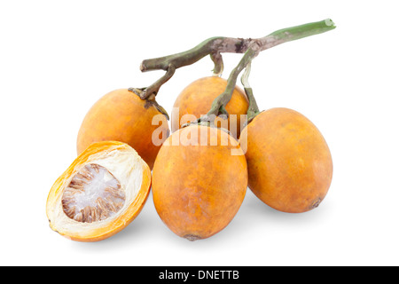 ripe acera or betel palm nut fruit with path Stock Photo