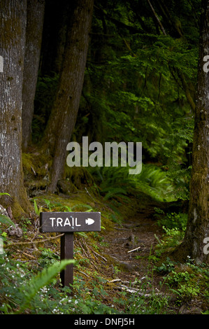 Wooden Trail Sign In A Forest For Hikers Stock Photo - Alamy