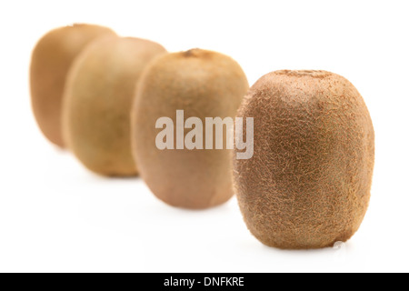 Kiwi in row on white background Stock Photo