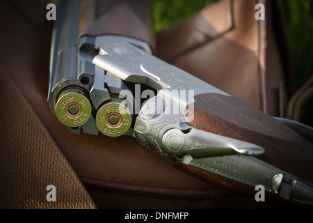 Field Sports Deene Park Estate Northamptonshire Stock Photo