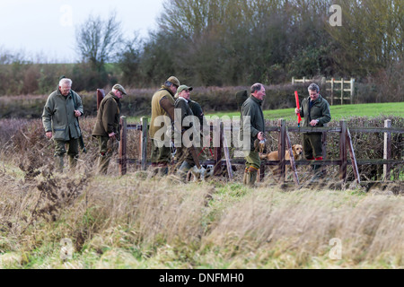 Field Sports Deene Park Estate Northamptonshire Stock Photo