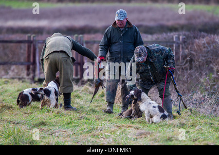 Field Sports Deene Park Estate Northamptonshire Stock Photo