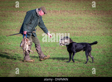 Field Sports Deene Park Estate Northamptonshire Stock Photo