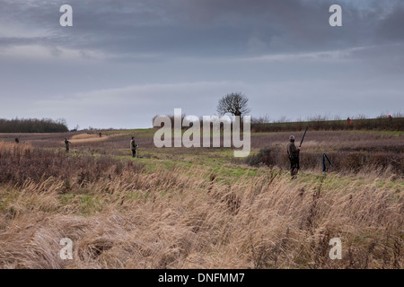 Field Sports Deene Park Estate Northamptonshire Stock Photo