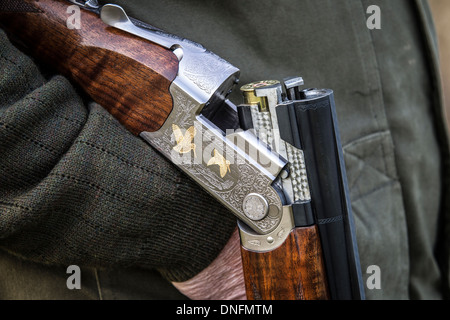 Field Sports Deene Park Estate Northamptonshire Stock Photo