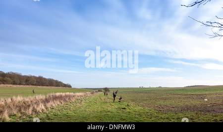 Field Sports Deene Park Estate Northamptonshire Stock Photo