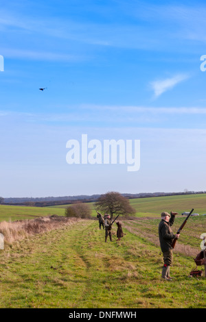 Field Sports Deene Park Estate Northamptonshire Stock Photo