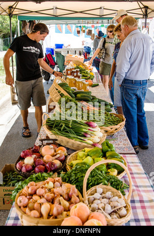 Customers buying fresh fruit and vegetables at the Buena Vista Colorado farmer's market Stock Photo