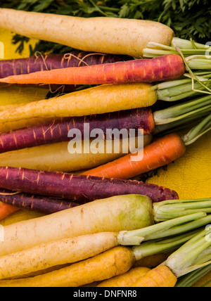 Variety of colorful carrots for sale, Buena Vista, Colorado, Farmer's Market Stock Photo