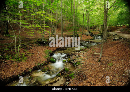 Fiumata, Aniene Rivers streams, Filettino, Frosinone, Lazio, Italy Stock Photo