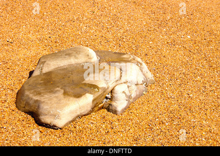 flat tip of rock protruding through sand on beach Stock Photo