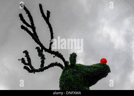 Closeup of topiary reindeer with red nose at Covent Garden, London UK. Stock Photo