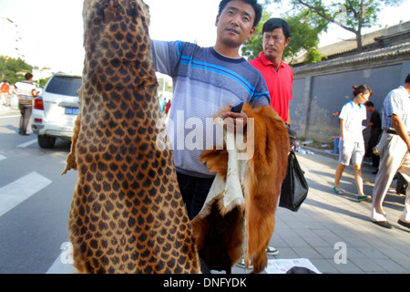 Beijing China,Asia,Chinese,Oriental,Chaoyang District,near Panjiayuan Weekend Dirt Flea Market,Asian Asians,adult adults man men male,exotic animal pe Stock Photo