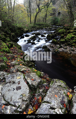 Autumn river Twiss, Ingleton Waterfalls Trail, Ingleton village, Yorkshire Dales National Park, England, UK Stock Photo