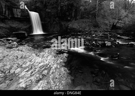 Thornton Force waterfall, river Twiss, Ingleton Waterfalls Trail, Ingleton village, Yorkshire Dales National Park, England, UK Stock Photo