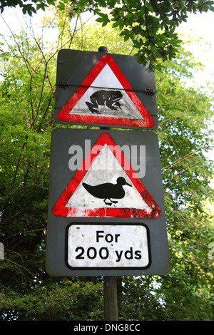 Beware, ducks and toads on the road sign near village pond , Southborough Common , near Tunbridge Wells , Kent , England Stock Photo