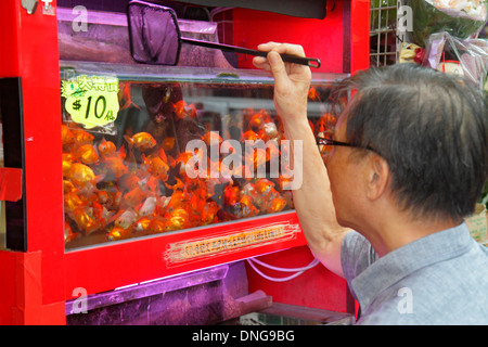 Hong Kong China,HK,Chinese,Kowloon,Prince Edward,Tung Choi Street,Goldfish Market,Asian man men male,looking,tank,selecting,display sale net,HK1309245 Stock Photo