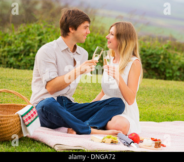 Attractive couple drinking champagne on romantic afternoon picnic in countryside Stock Photo